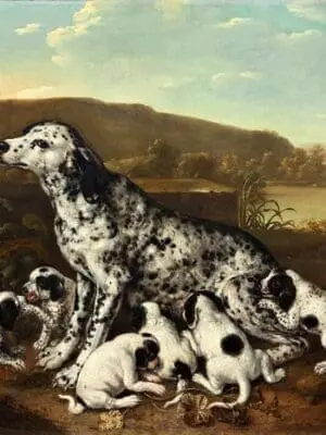 Hulst Pieter van der