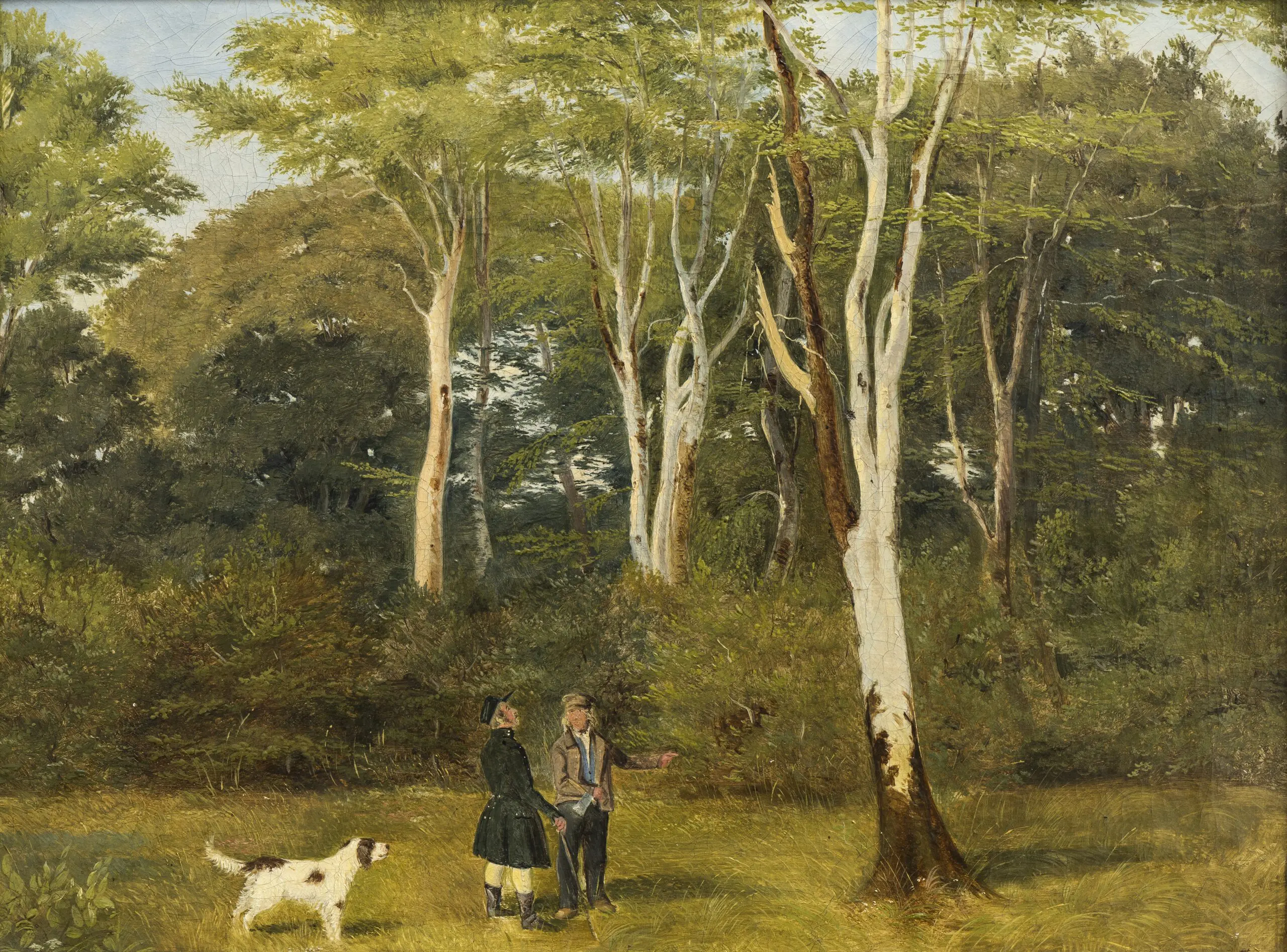 Jørgen Roed, Træer vises ud i skoven, u.å. hehewhfrf