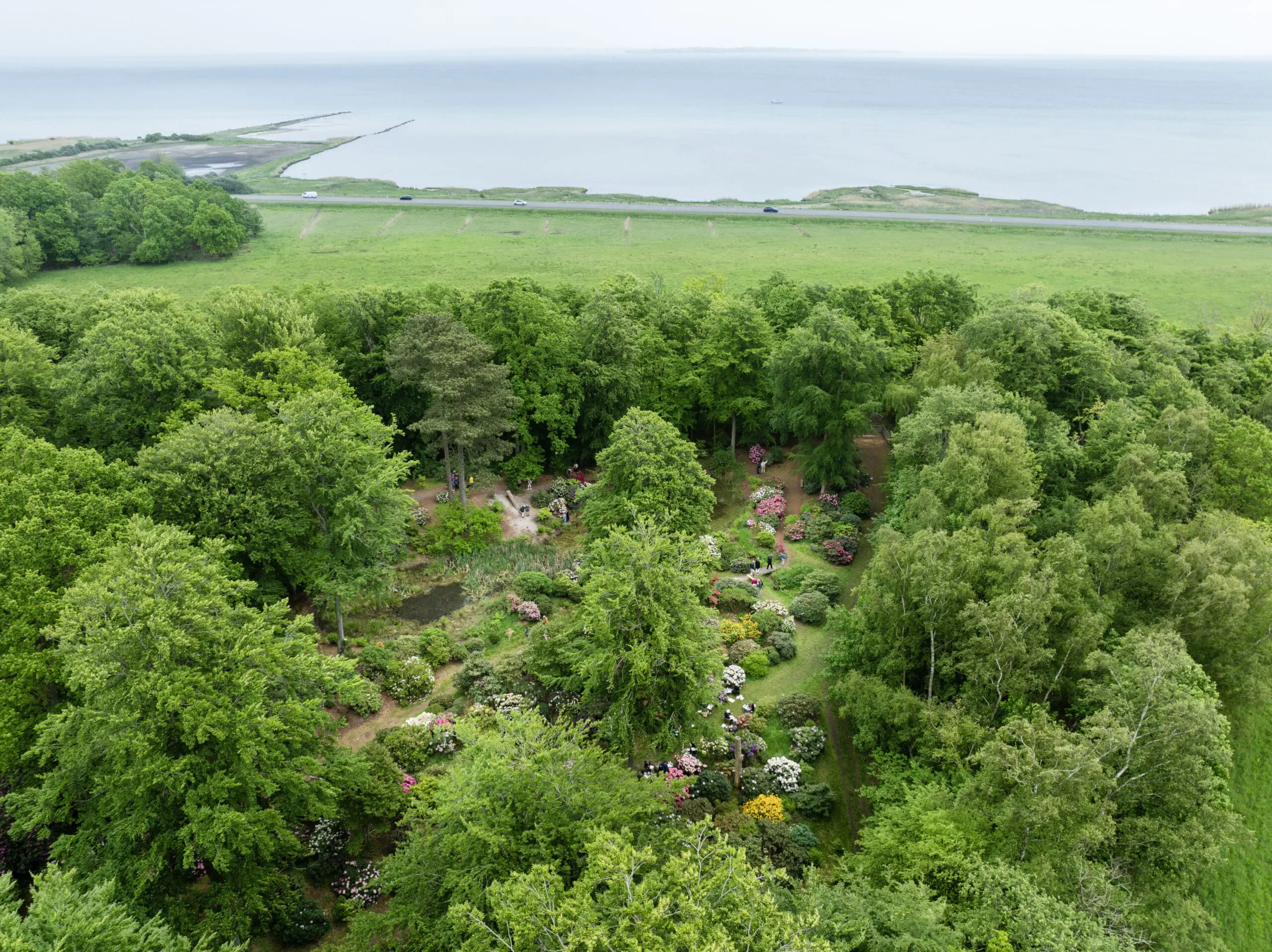 Nivaagaards Park foto David Kahr 2025